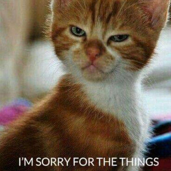 Meet your Posher, Heather - Picture 1 of 1